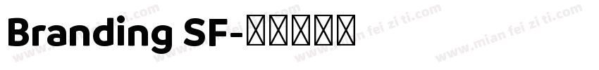 Branding SF字体转换